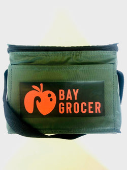 Bay Grocer mini cooler bag