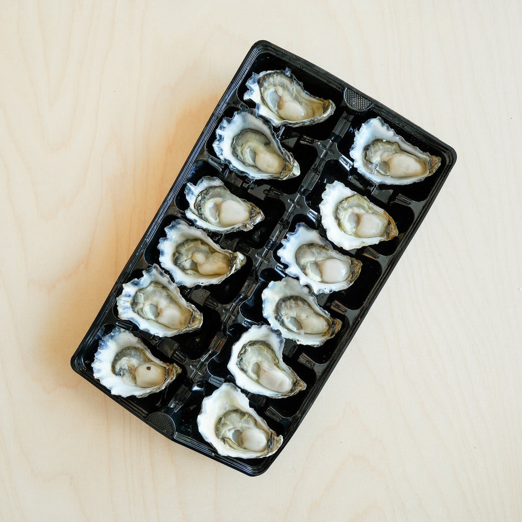 Shucked Sydney rock oysters